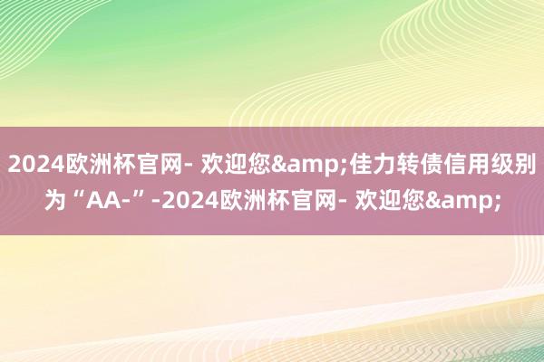 2024欧洲杯官网- 欢迎您&佳力转债信用级别为“AA-”-2024欧洲杯官网- 欢迎您&