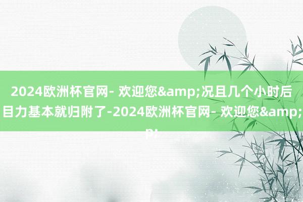 2024欧洲杯官网- 欢迎您&况且几个小时后目力基本就归附了-2024欧洲杯官网- 欢迎您&