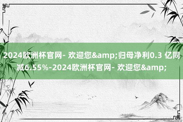 2024欧洲杯官网- 欢迎您&归母净利0.3 亿同减6.55%-2024欧洲杯官网- 欢迎您&