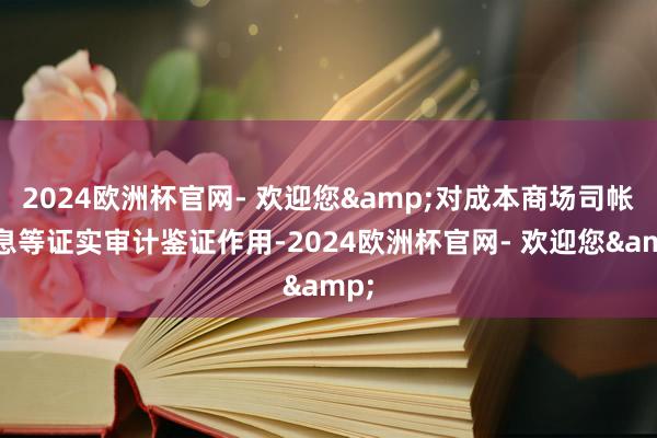 2024欧洲杯官网- 欢迎您&对成本商场司帐信息等证实审计鉴证作用-2024欧洲杯官网- 欢迎您&